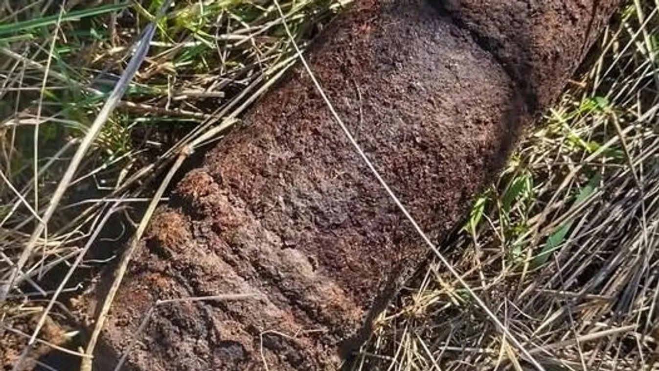 Dunakeszin második világháborús bomba robbant fel.