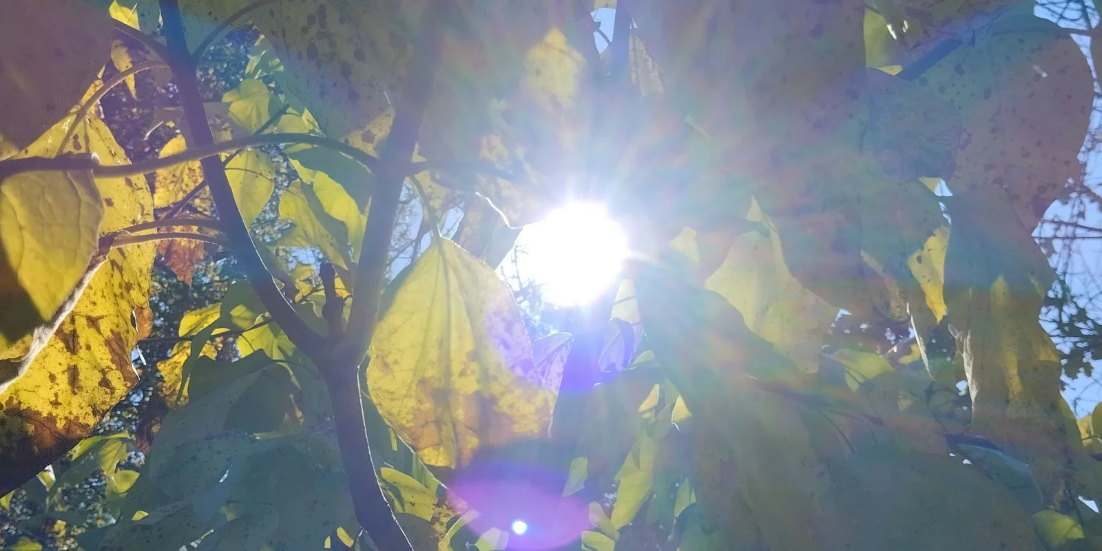 Érkezik a tavasz: a hétvégén már 16 fokot is mérhetünk