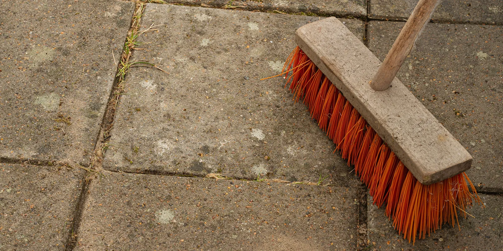 Itt a tavasz, így tisztítsd meg a járdát a kertedben