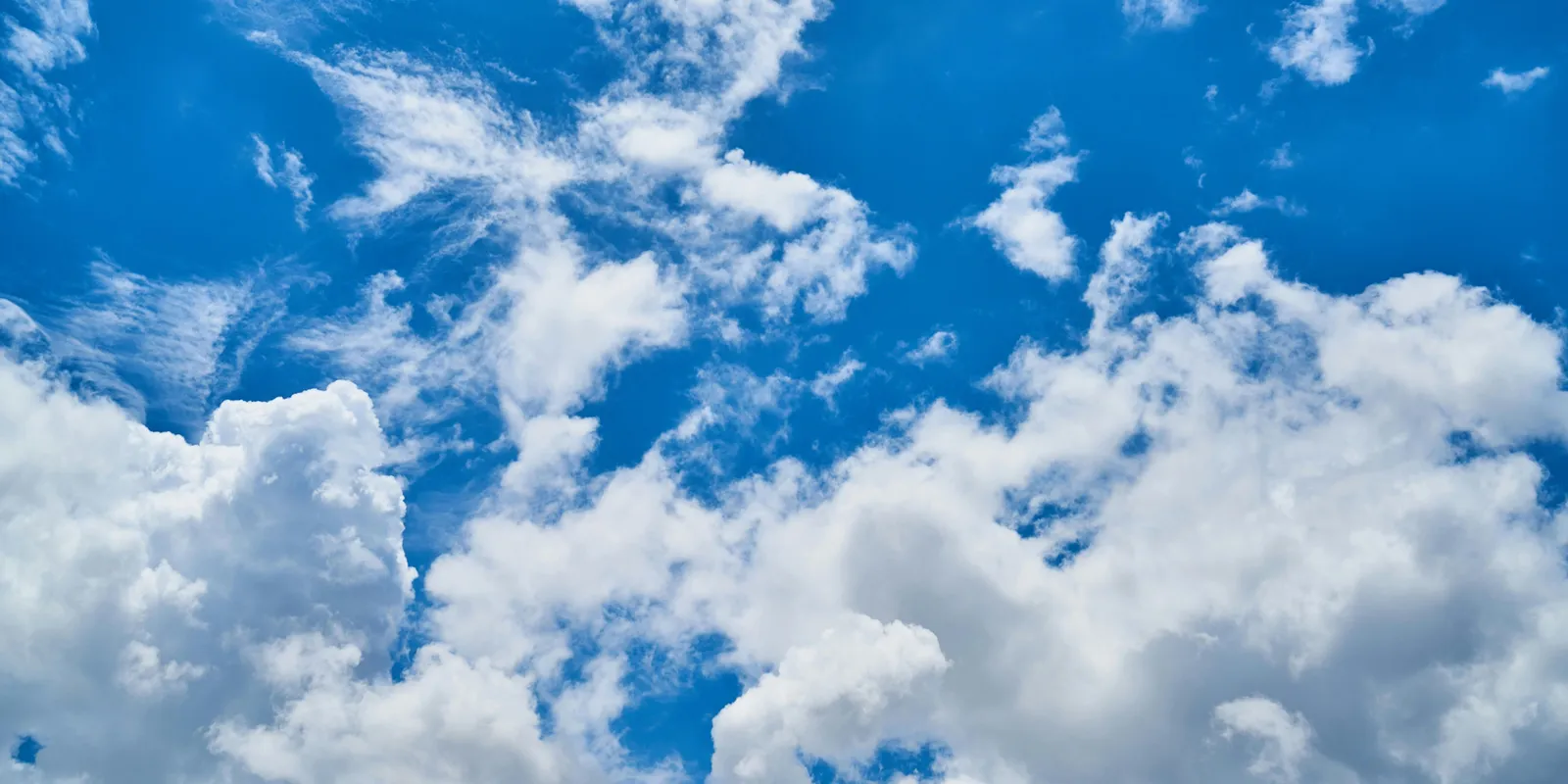 Végre! A hét elején bekopogtat végre a tavasz