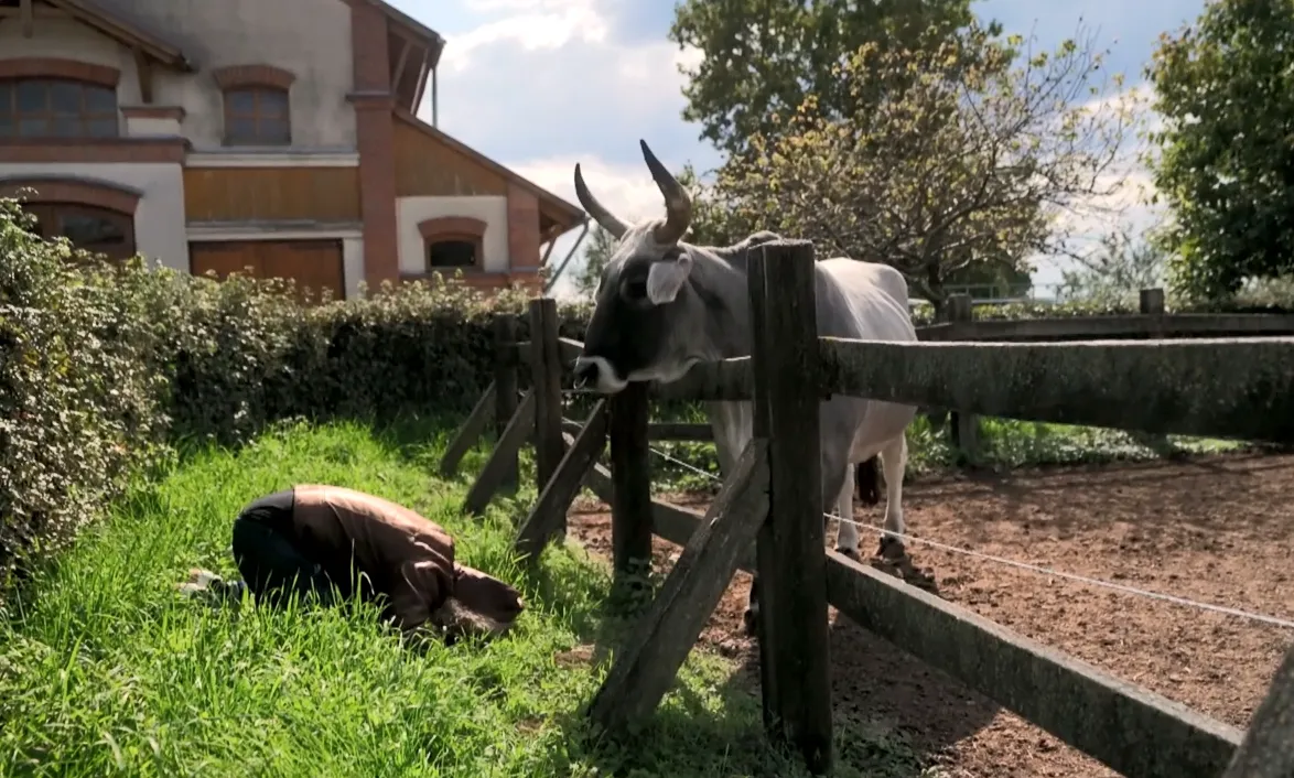 Aurelio tisztelete jeléül borult Díva lába elé. 