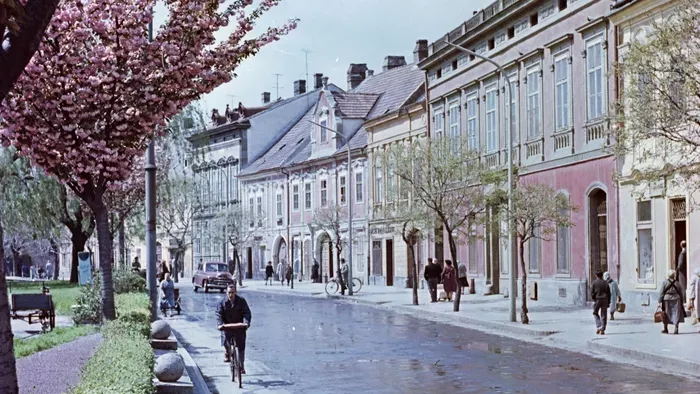 Virágba borult kertek és utcák a XX. századból - Galéria!