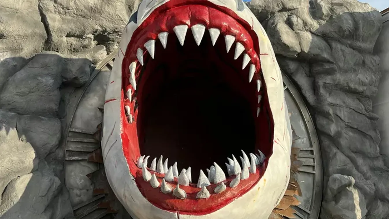 Vérfagyasztó: fehér cápát hagytak magára egy állatparkban