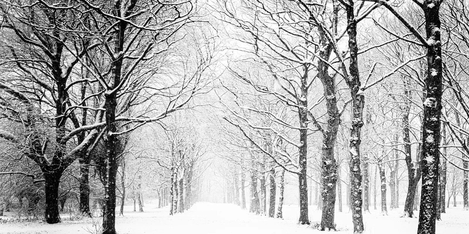 Lehullott a hó Bánkúton! - varázslatos a látvány