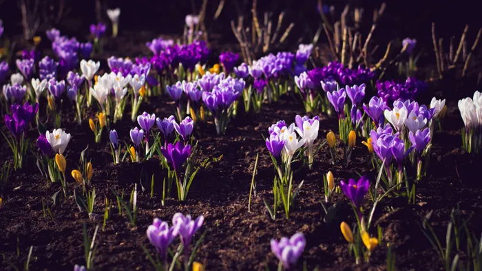 Ilyen lesz az időjárás a nemzeti ünnepen