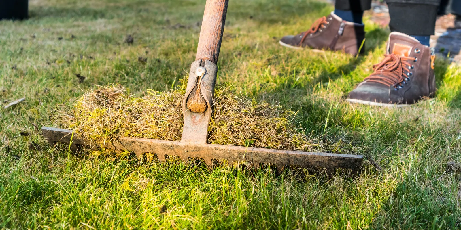 Kipusztult télen a fű a kertben? Így hozd rendbe