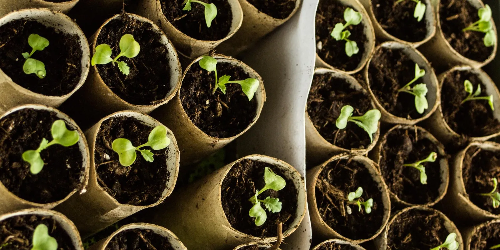 Már lehet csatlakozni a közösségi gazdaságokhoz