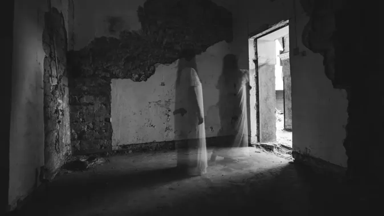 Szellem vendég rázta fel Csaba szülinapi buliját Szabadkán