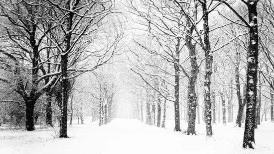 Lehullott a hó Bánkúton! - varázslatos a látvány