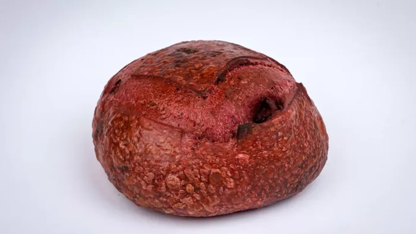 Tíz díjat nyert a Vál-Völgye Pékség