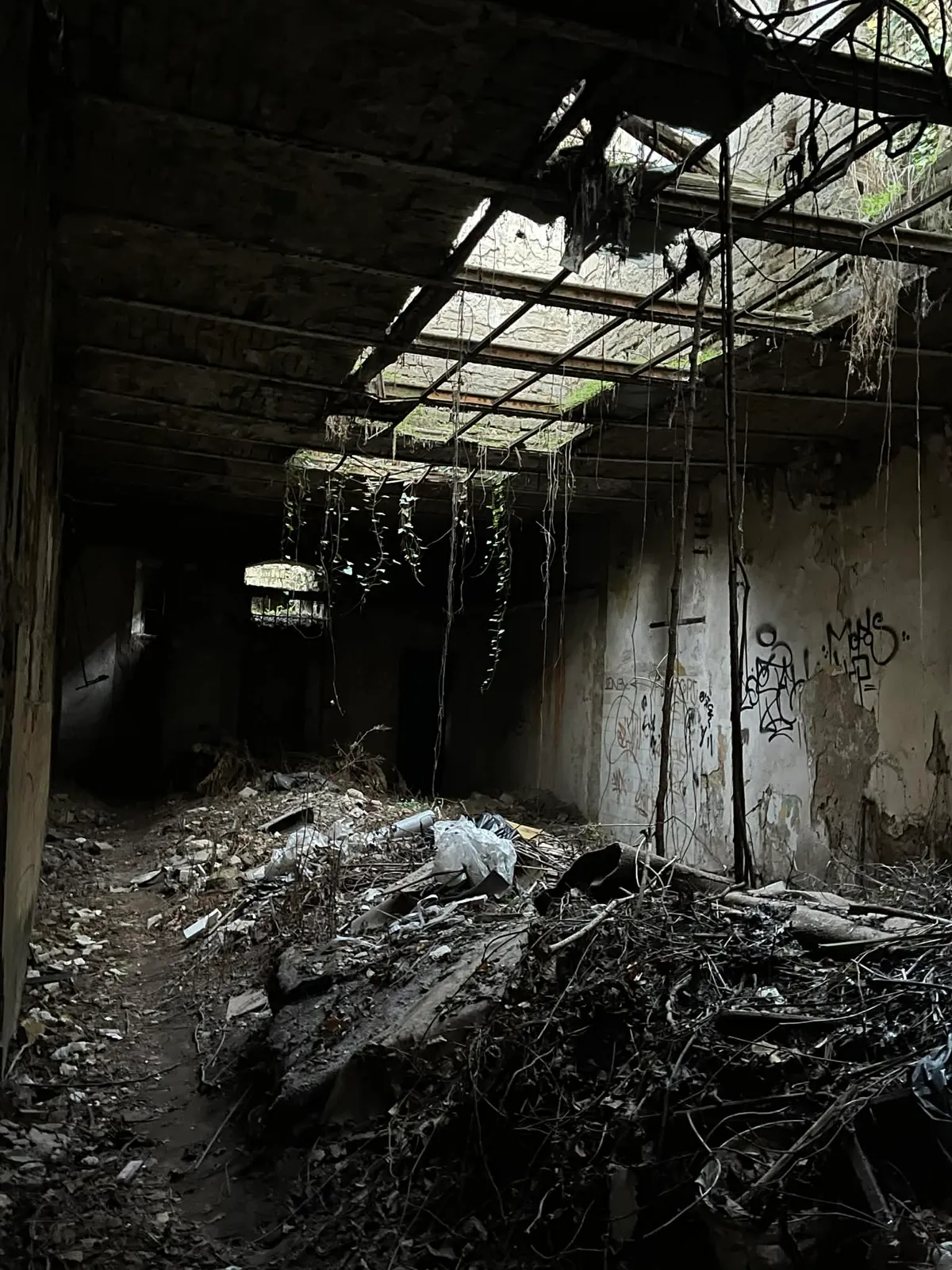 Szellem kémkedett a szabadkai, elhagyatott uszodában 