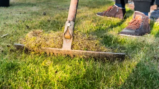 Kipusztult télen a fű a kertben? Mutatjuk pontosan mit lehet vele kezdeni