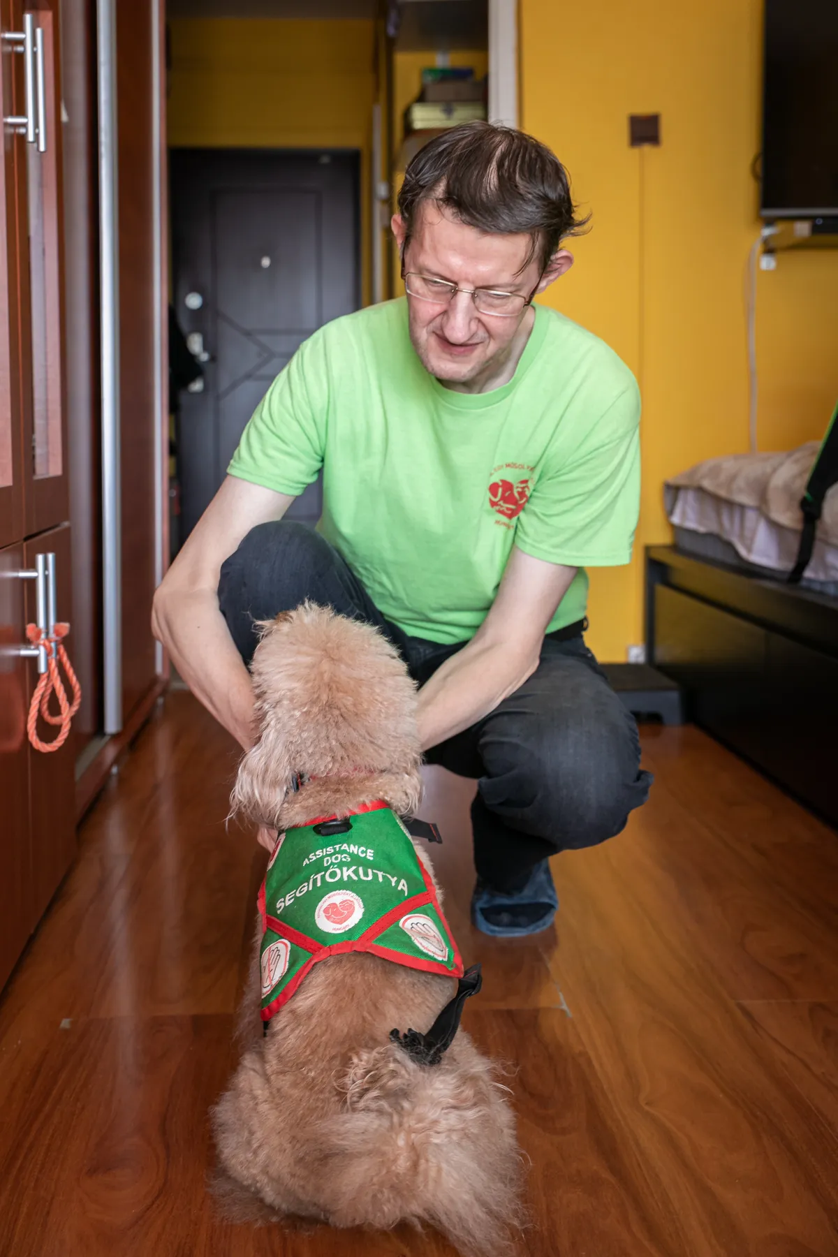 Ahogy megkapja a hámot Bambi, tudja, hogy munka következik