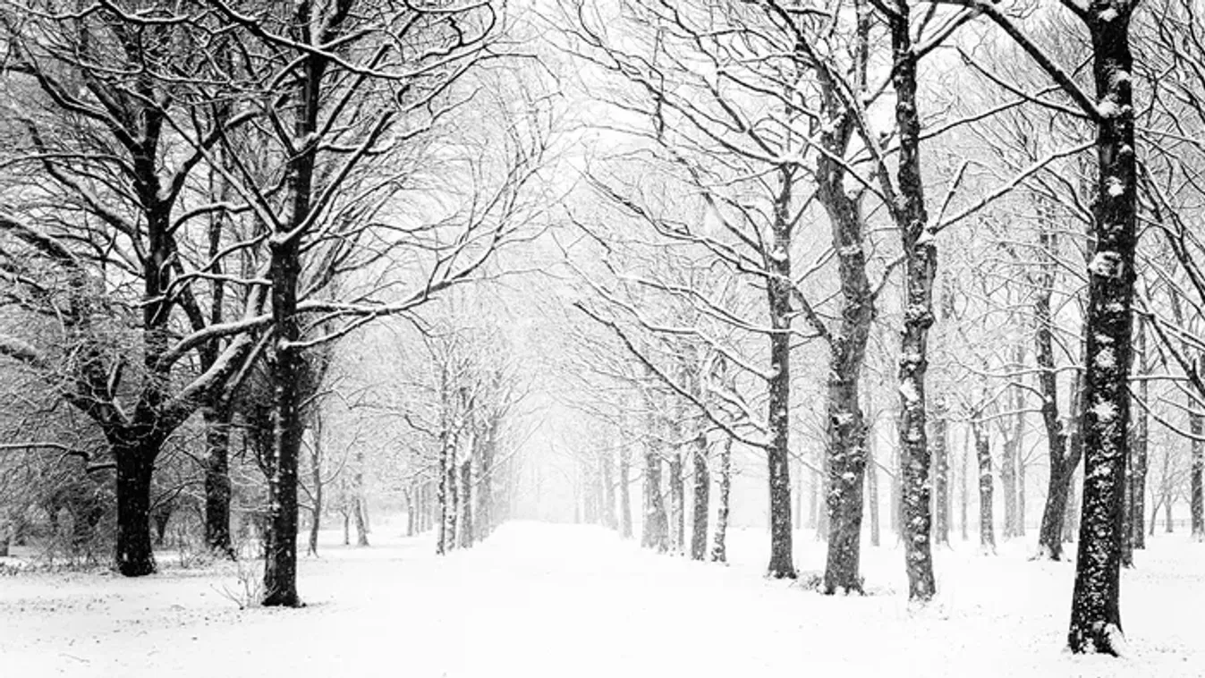 Lehullott a hó Bánkúton! - varázslatos a látvány