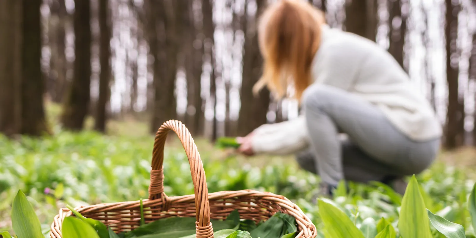 Ez a legegészségesebb zöldség márciusban, te már kóstoltad?