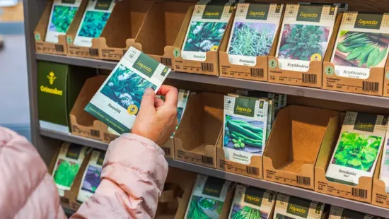 Ezt a hibát ne kövesd el, ha vetőmagot vásárolsz