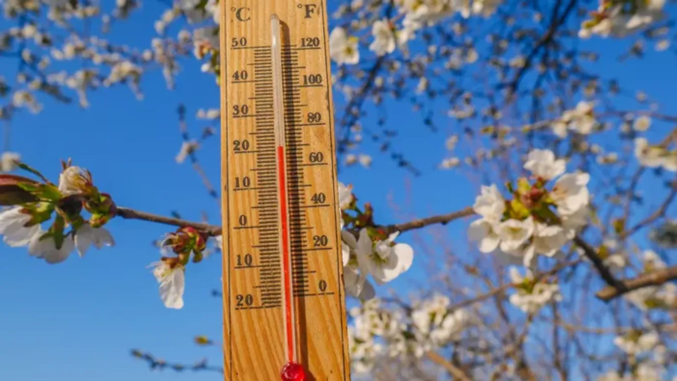 A név, amely meghozza a tavaszt