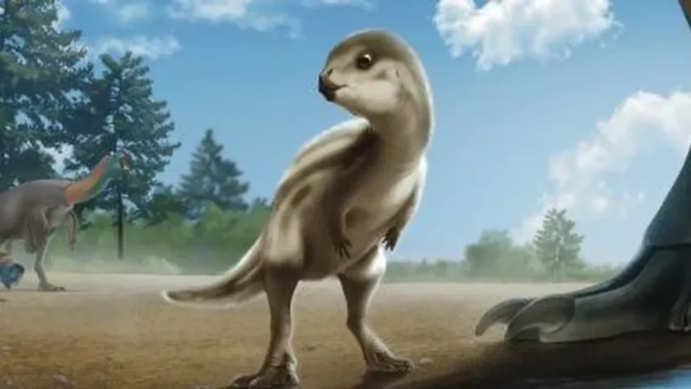  Új dinoszauruszfajt találtak Dél-Koreában