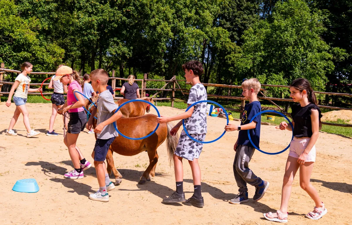 Az iskolások szívesen csinálják a pónis feladatotokat