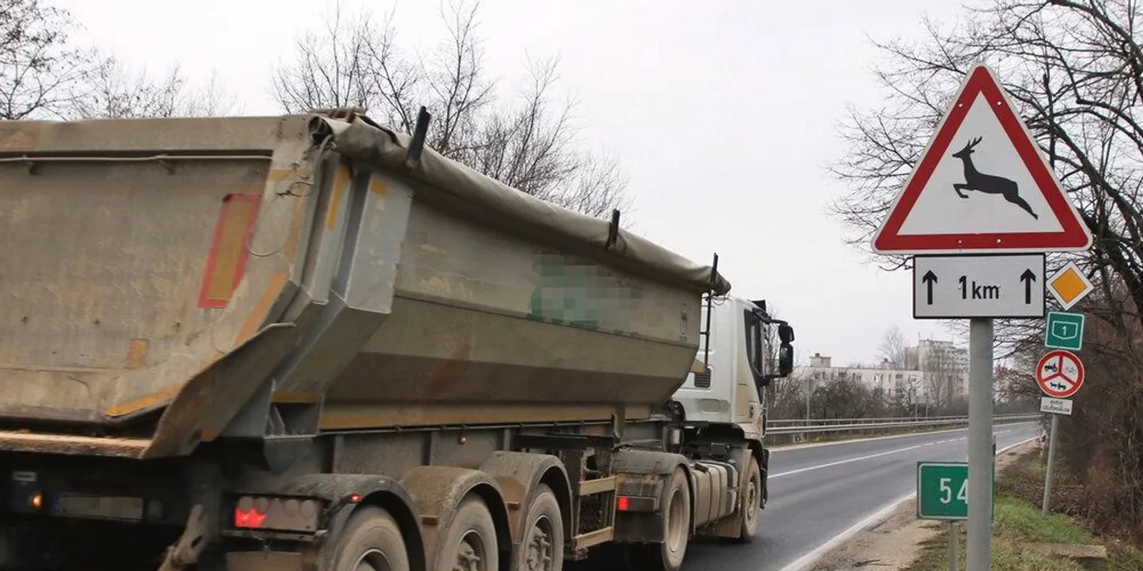 Egyre több a vadbaleset az utakon – ez az oka