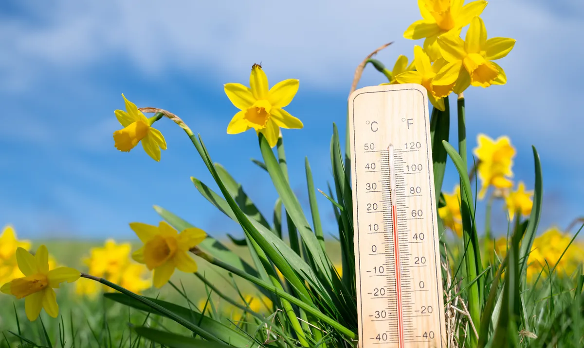 Jön a meleg, Sándor és barátai elhozzák a zsákban 