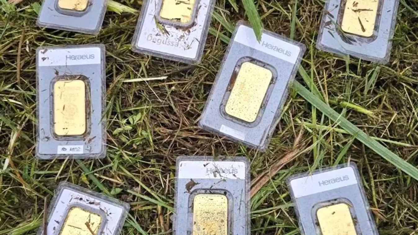 Aranyrudakat talál a fűben egy német önkormányzati dolgozó