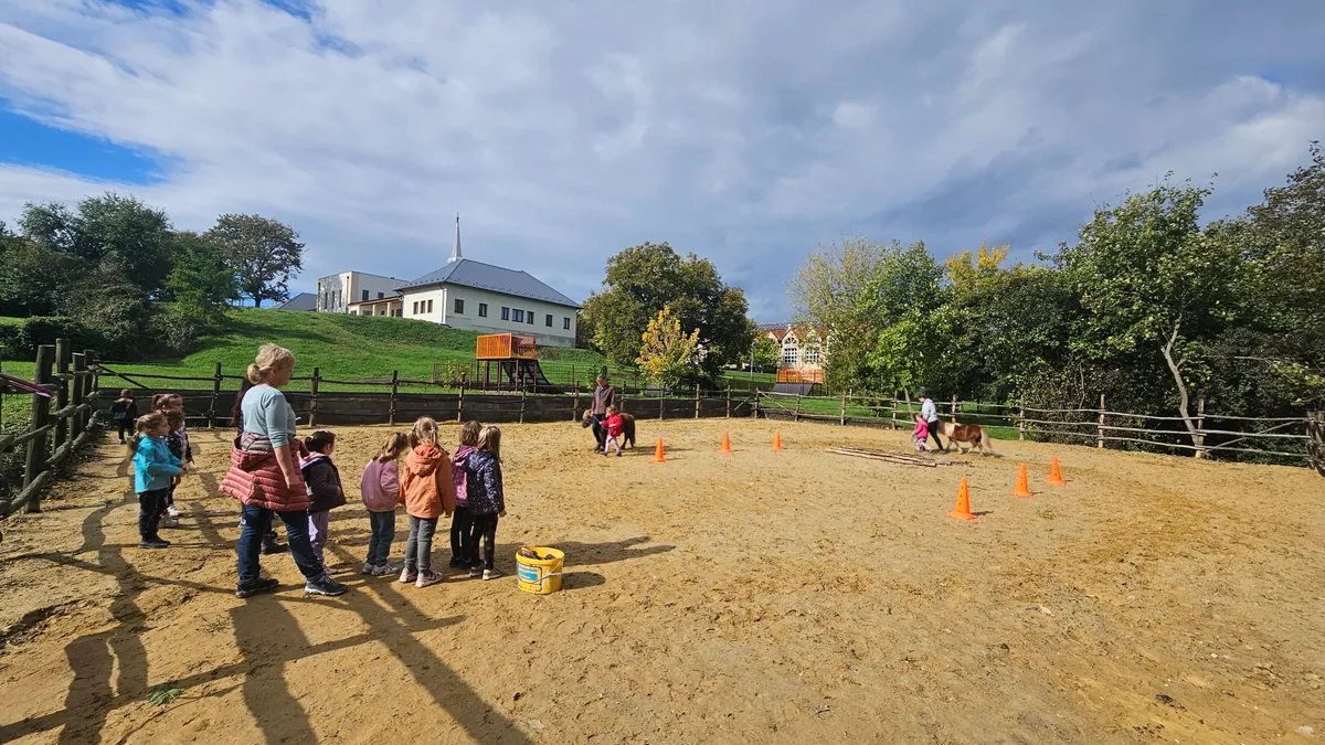 Állatasszisztált pedagógia: A bükkábrányi iskola udcarán közös összefogással építették fel a lovaspályát