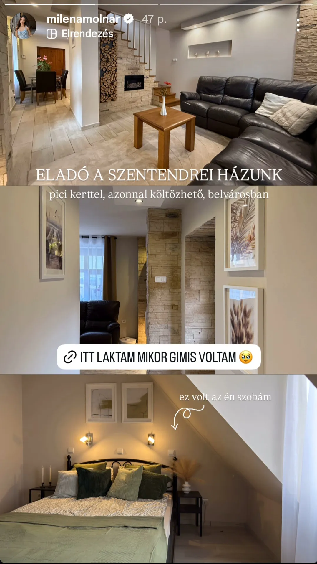 Molnár Miléna és családja háza eladóvá vált Szentendrén.