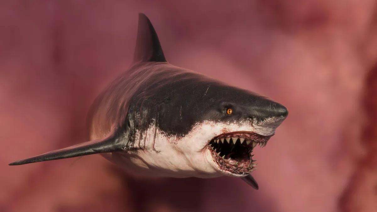 Vérfagyasztó látvány várta az elhagyatott állatpark felfedezőit