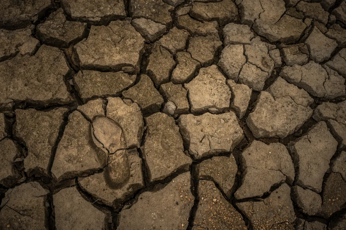 El Niño következménye az aszály