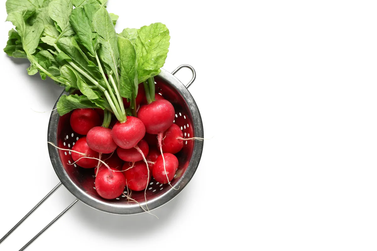 Ez történik a testeddel, ha reteklevelet eszel Colander,Of,Ripe,Radish,With,Green,Leaves,Isolated,On,White