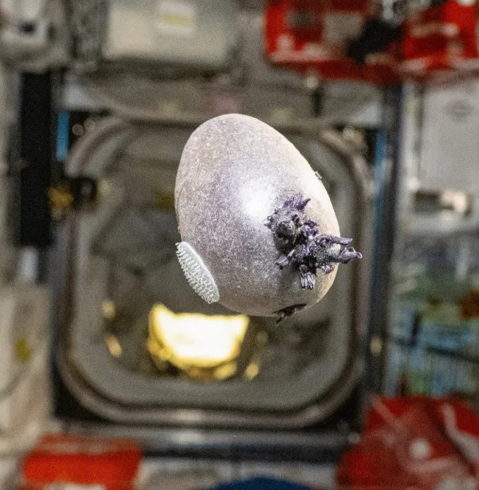 Sokan földönkívülinek nézték az űrben megjelenő dolgot