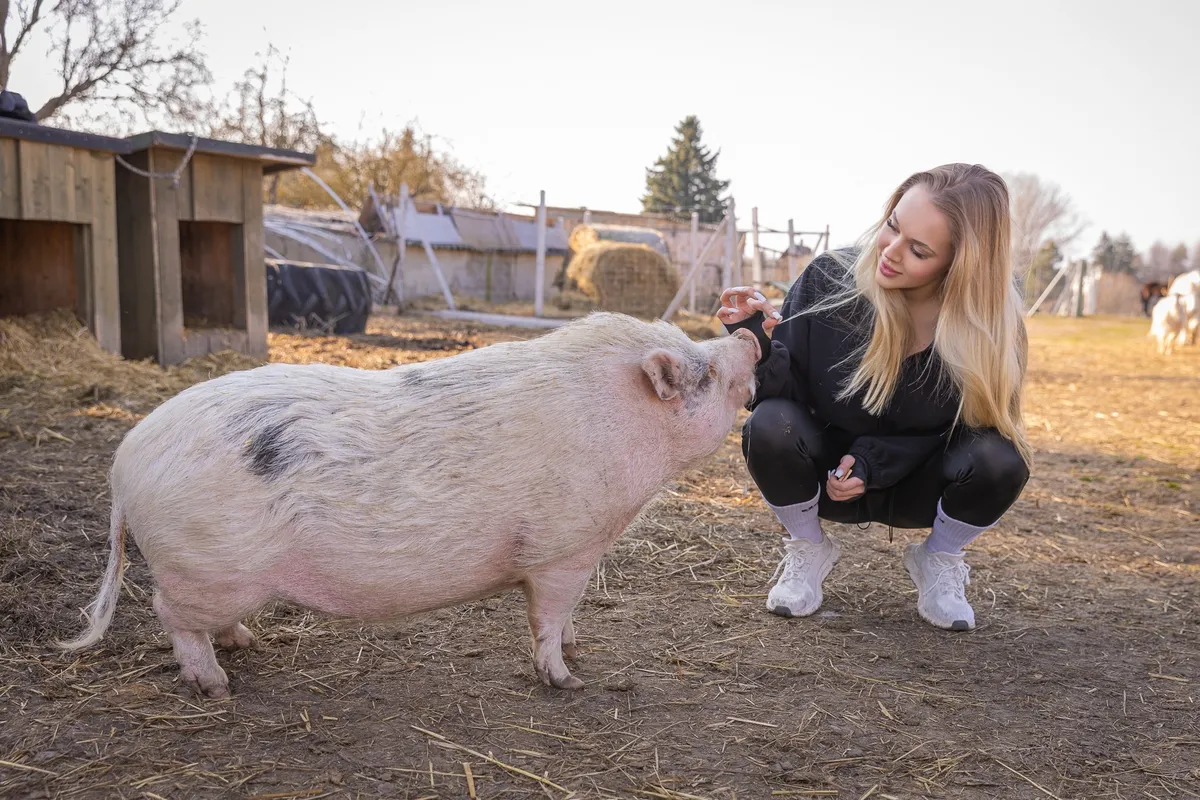 Eszti és Zsoli malac igazi jóbarátok 