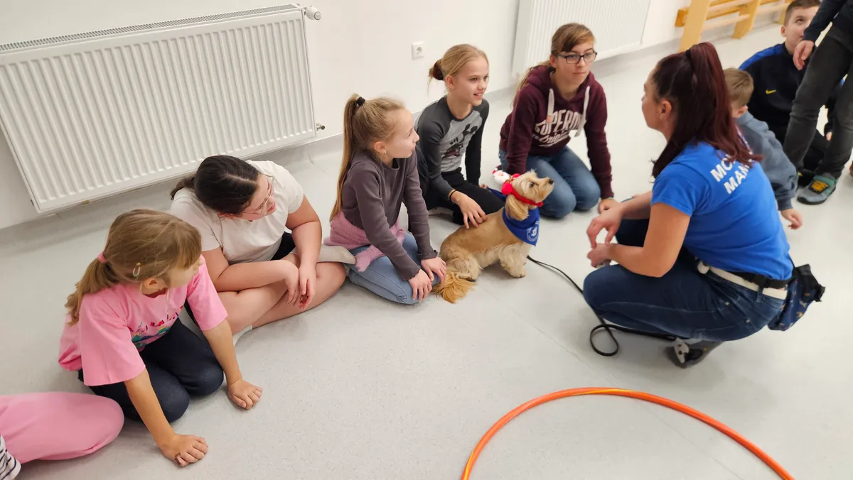 Angie a csodakutya, a szorongó gyerekek is feloldódnak a segítségével