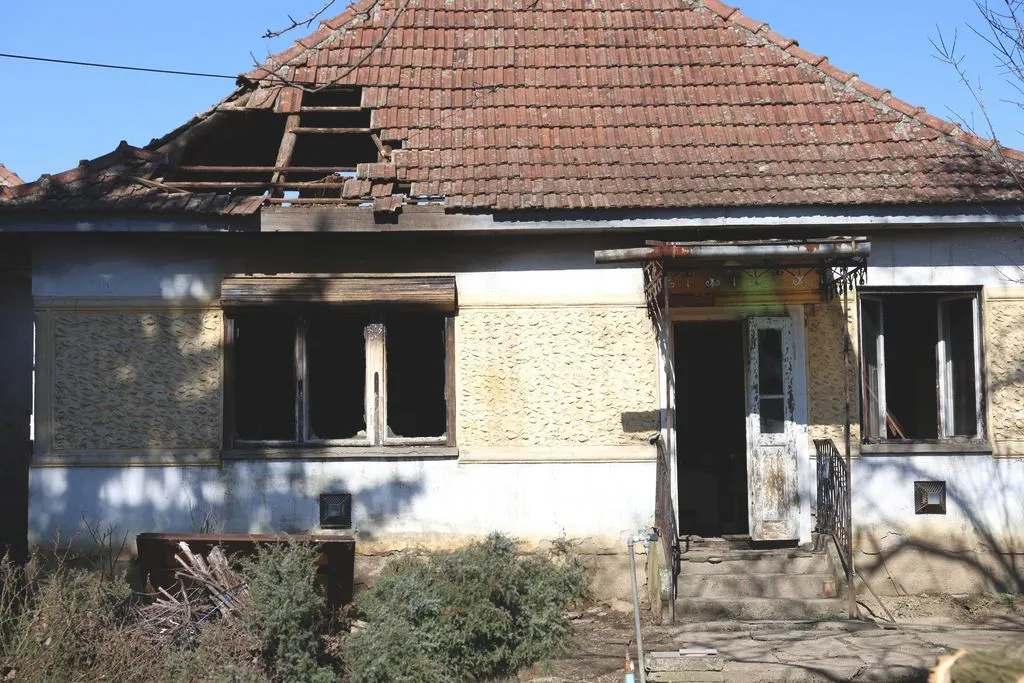 háztűz, nyugdíjas, kutya, Győrtelek