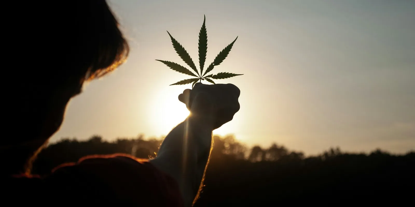 Depressziót és szorongás okoz a marihuánafogyasztás