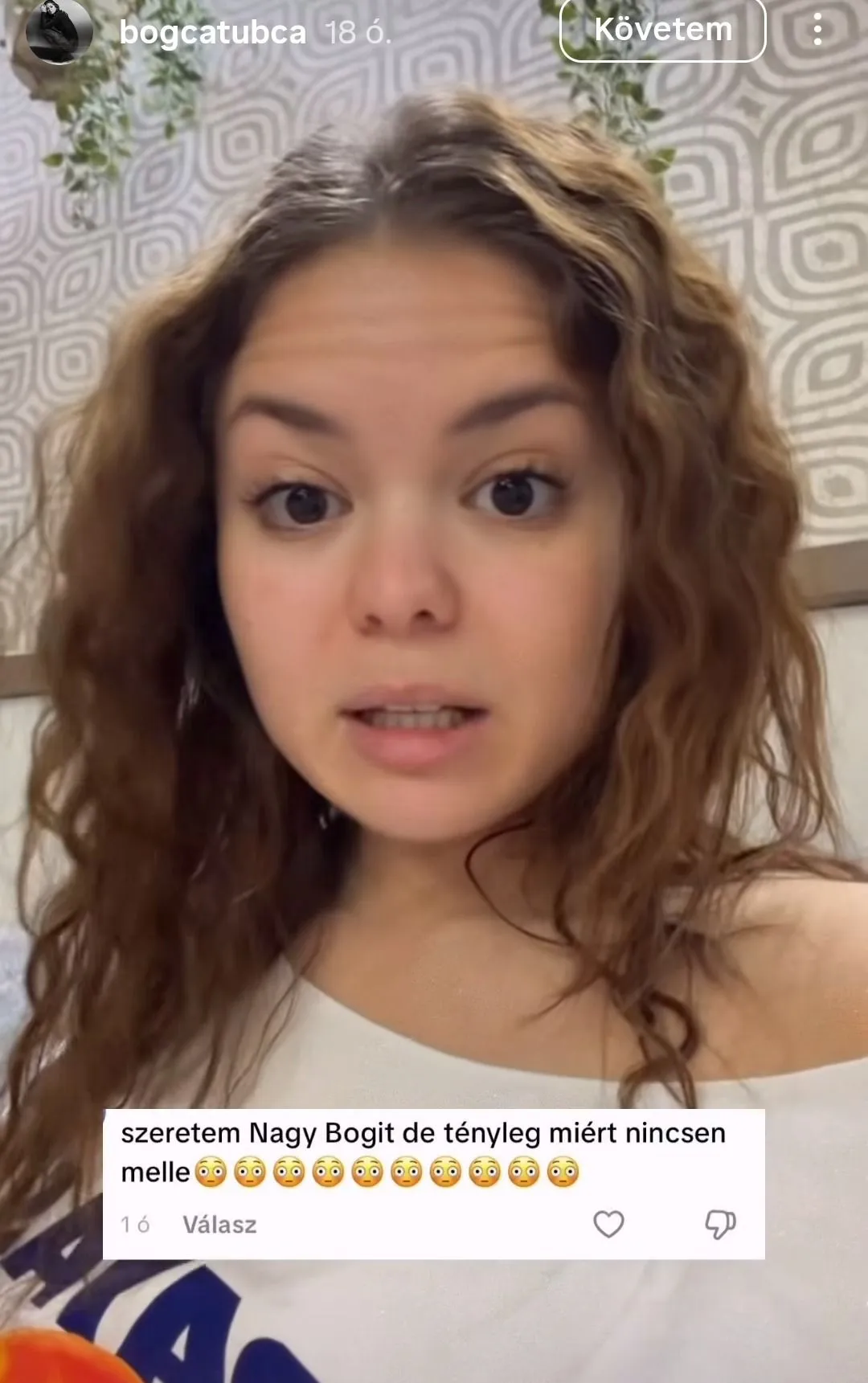 Nagy Bogi nem kímélte a gonoszkodó kommentelőt.