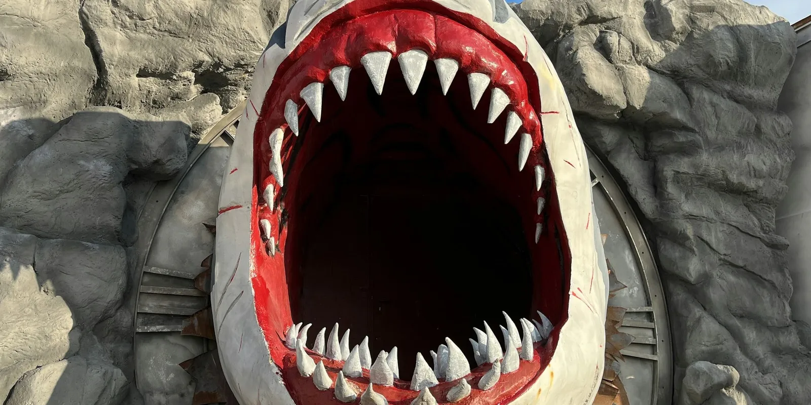 Vérfagyasztó: fehér cápát hagytak magára egy állatparkban