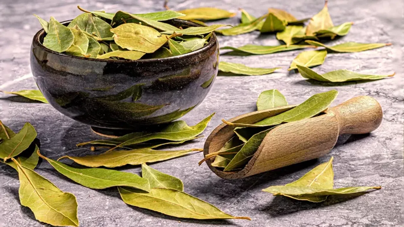 Tegyél babérlevelet a zoknidba és nem bánod meg