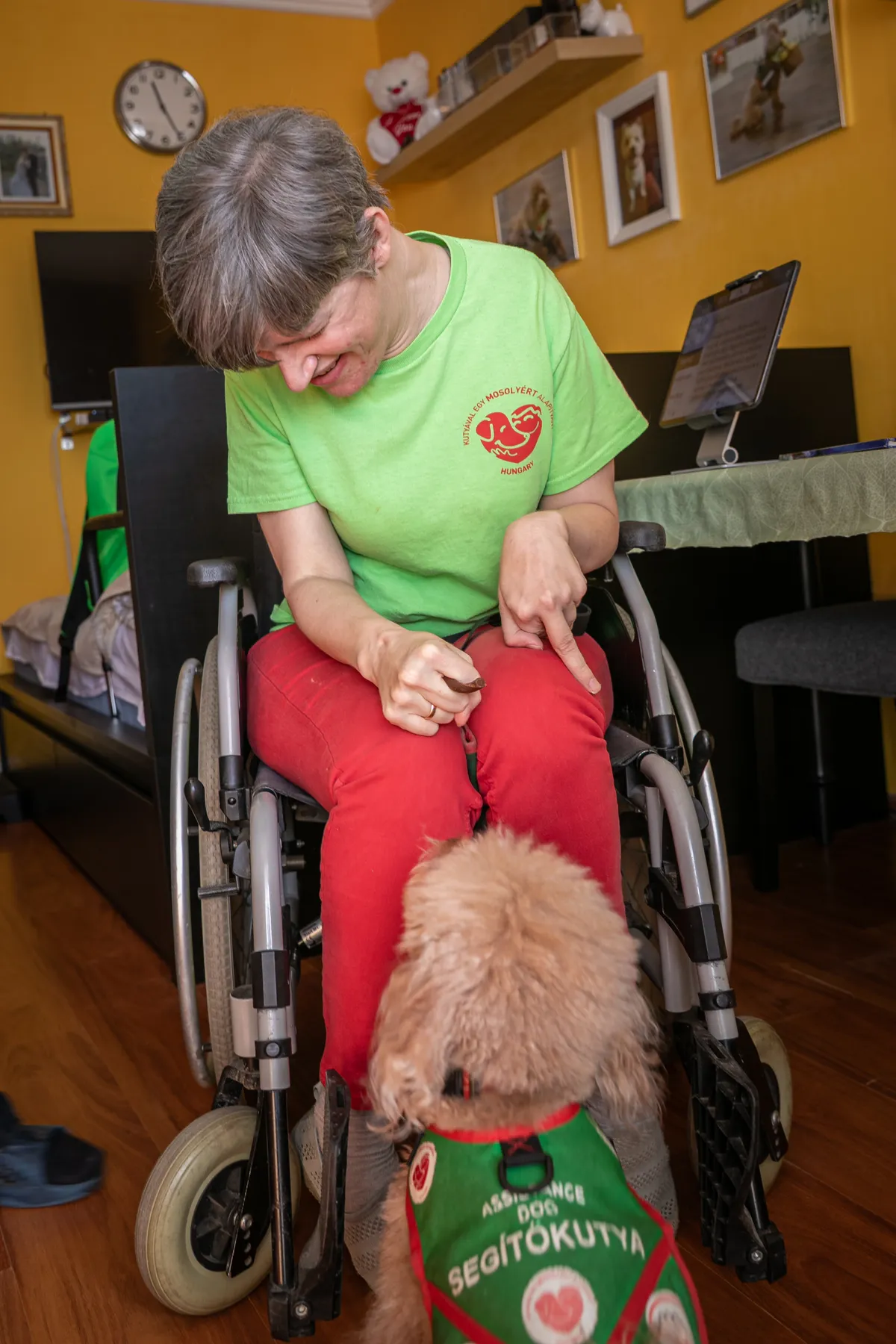 Amikor kettesben vannak, le sem veszi Ágóról a szemét