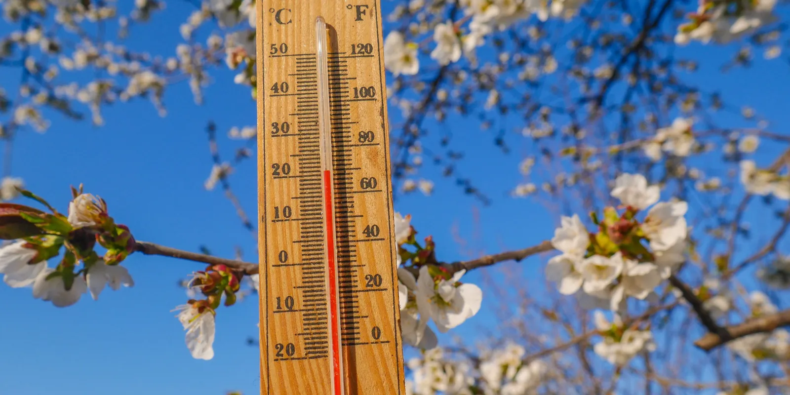 A név, amely meghozza a tavaszt