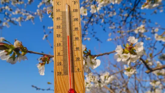 A Sándor név története és híres viselői – kvíz