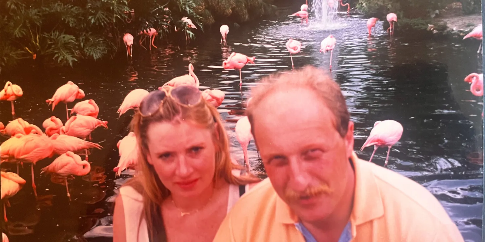 Wilhelm szerint Magyarország megelőzte Németországot