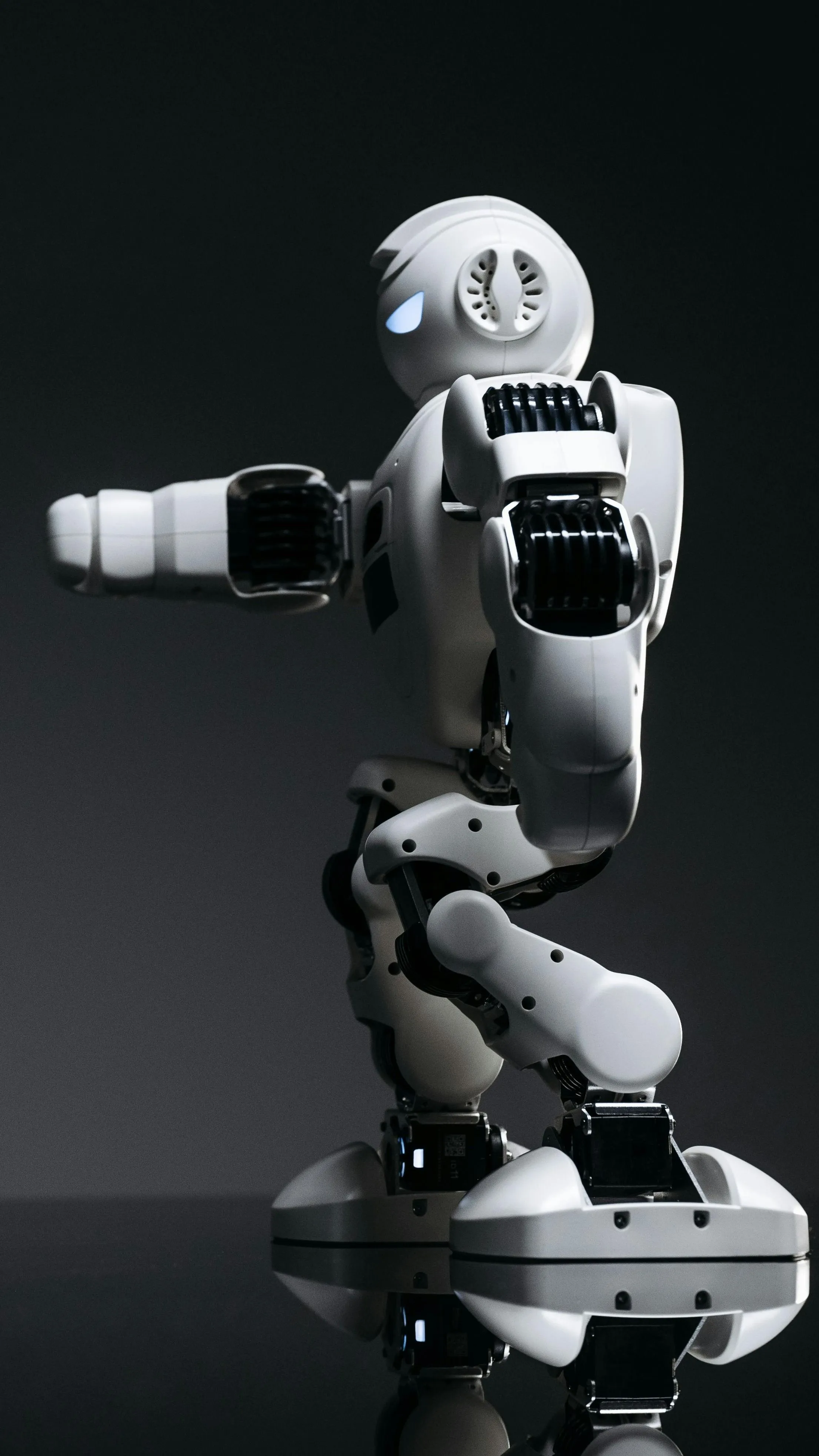 A robotok már kungfuzni is tudnak!