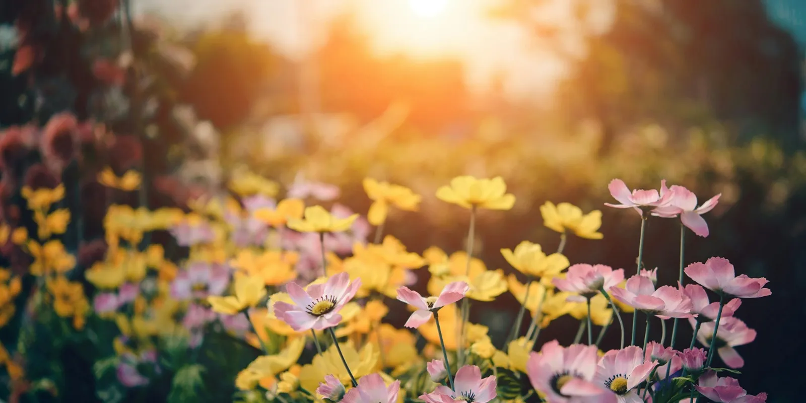 Berobban a tavasz: akár 19 fok is lehet