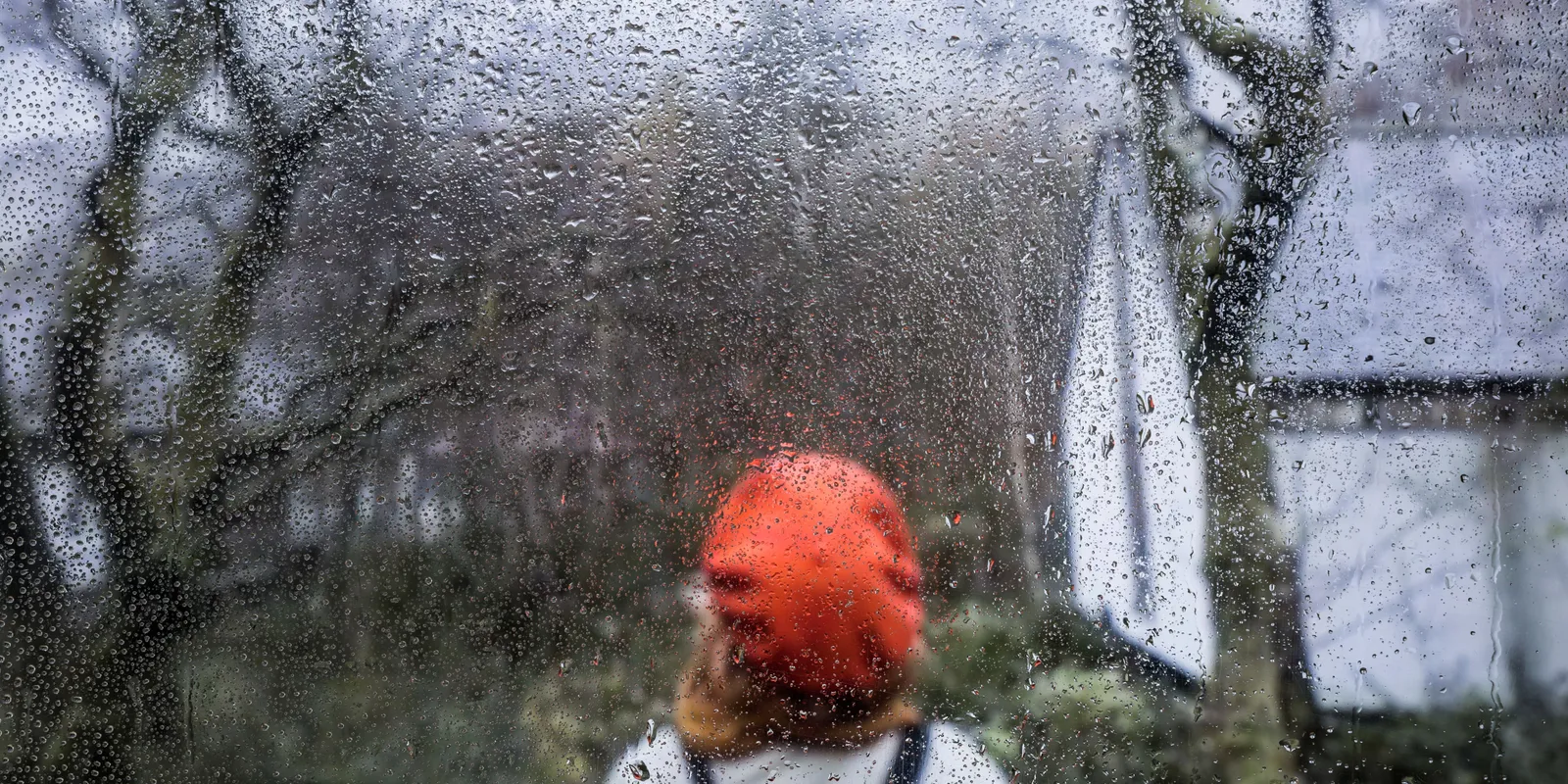 Esernyőket elő! Csapadékos, de napos időjárás várható