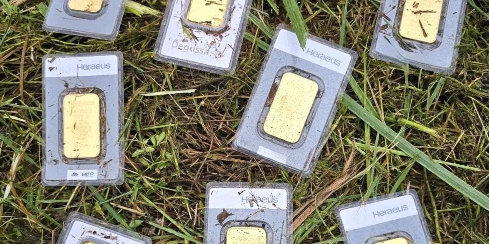 Aranyrudakat talál a fűben egy német önkormányzati dolgozó