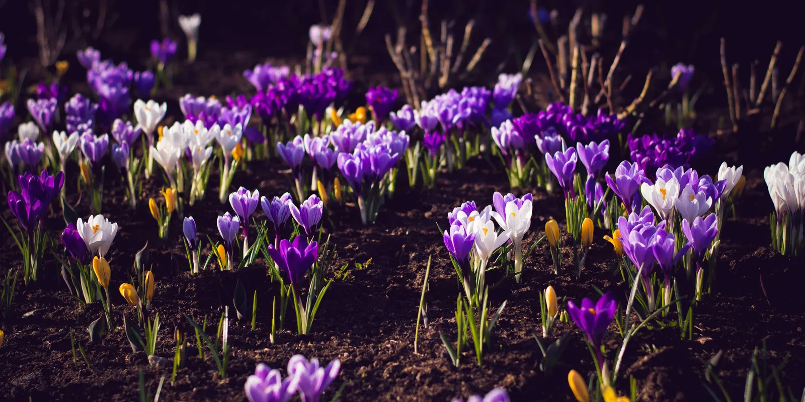 Ilyen lesz az időjárás a nemzeti ünnepen