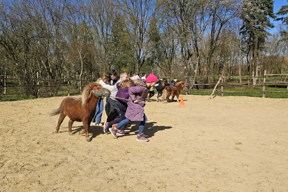 Az iskolások nagyon várják a lovas foglalkozásokat, ami a tanulásban is segíti őket