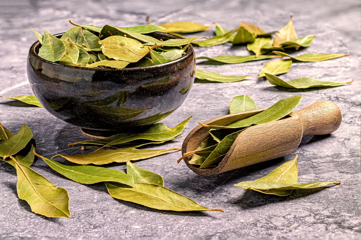 Babérlevél Dried,Bay,Leaves,In,A,Ceramic,Bowl,On,A,Stone